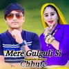 About Mere Gulguli Si Chhute Song